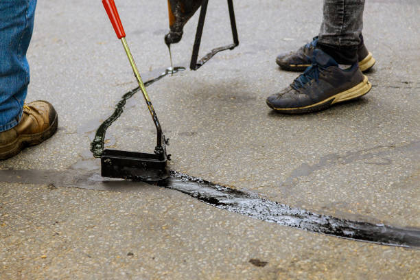 Best Driveway Pressure Washing  in Monroe, WA